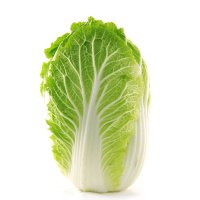 有机大白菜