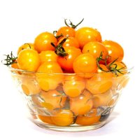 有机黄小番茄