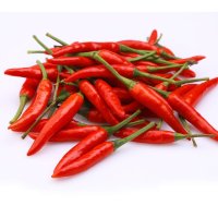 精品朝天椒