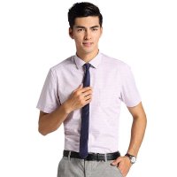 红豆男装 HWH6C8212修身时尚格子短袖衬衫