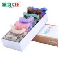 卡帝乐鳄鱼春夏时尚水晶丝休闲女袜透明性感薄款中筒袜丝光女人袜CW1016-06