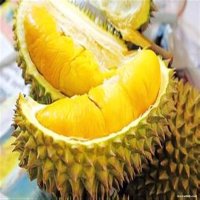 进口榴莲*