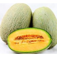 常香玉哈密瓜SN