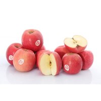 带字富士礼盒SN