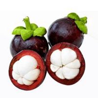 泰国进口山竹SN