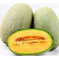 新疆哈密瓜SN