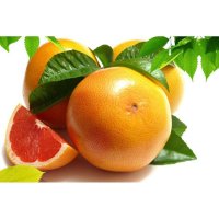 进口西柚SN