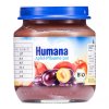 Humana 李子苹果泥(婴幼儿罐装辅助食品)125g