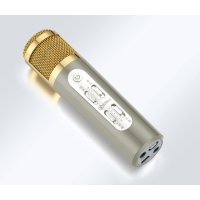 屁颠虫(Hifier)098 (调音大师)/手机麦克风/唱吧K歌电容麦克风/(苹果+安卓+电脑全兼容)电脑话筒(卡其色)