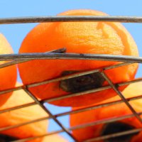 草原牧业牛肉片400g