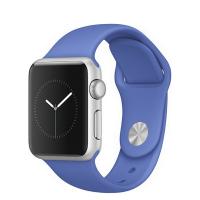 APPLE MJ2V2ZP/A 38MM SPORT SL CASE BLUE BAND WATCH