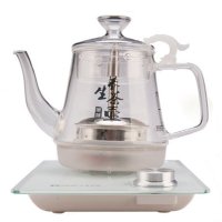 东菱电热水壶 ZC-109