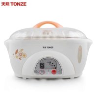 天际隔水炖 DDZ-16A