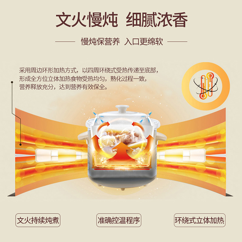 天际(TONZE)电炖锅 DGD30-30AWD 3L/升 白陶瓷 全自动 多功能 家用 养生锅 煲汤煮粥锅 电炖砂锅