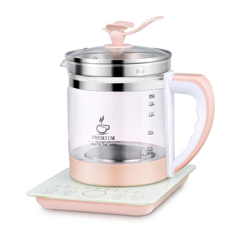 金正(NINTAUS) JZW-0801E养生壶电煮茶壶 多功能花茶电水壶 煎药壶图片
