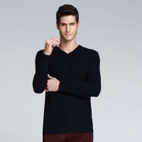 男士时尚V领100%羊毛衫71809963-05-05