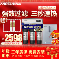 安吉尔(Angel)J1205-ROB8c反渗透纯水机+Y2317BK-K-G加热管线机套装