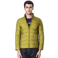 香港鳄鱼恤男装DJ05507男士休闲羽绒