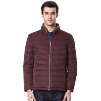 香港鳄鱼恤男装DJ55709男士休闲羽绒