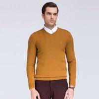 才子时尚休闲净色修身毛衫9256E0721060