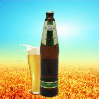 沃夫狼啤大麦黄啤酒(瓶装)