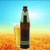 沃夫狼啤大麦黄啤酒(瓶装)