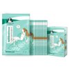沁凉薄荷净透补水面膜25ml*10