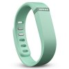 Fitbit Flex时尚智能乐活手环 FB401TE-CN