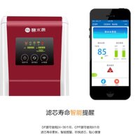 碧水源/OriginWater 厨下式家用直饮净水器 D506 矿物质水直饮 纳滤膜净水机