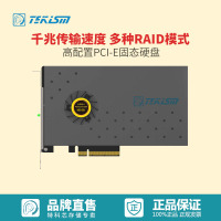 特科芯(TEKISM)PER970 960G PCI-E 固态硬盘