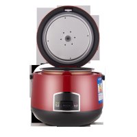 爱仕达 电饭煲AR-L2002E