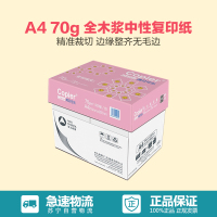 亚太森博 拷贝可乐 A4 70g 全木浆中性复印纸（500张/包 5包/箱）