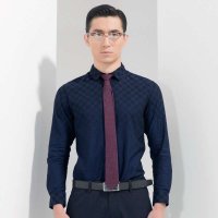 阿仕顿 秋季男士时尚休闲修身蓝色长袖衬衫 AW15316178900