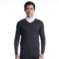 阿仕顿 秋冬男士V领休闲修身长袖羊毛衫 AW15309387