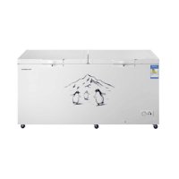 容声冷柜BD/BC-520M