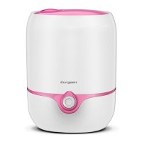 欧井(Eurgeen)OJS-401P加湿器家用4L办公室空调房间空气增湿机香薰轻音净化