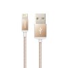 品胜 iPhone6双面USB金色数据线6s苹果5s手机Plus充电线1m香槟金