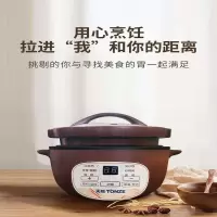 天际电炖锅DGD12-12GD