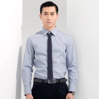 阿仕顿 新款修身型长袖衬衫男薄款青年圆点条纹商务衬衣 A15116253