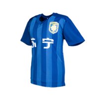 苏宁足球俱乐部官方球迷服