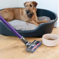 戴森(Dyson) 吸尘器 V6 Motorhead 手持式家用除螨无线无绳 DC62