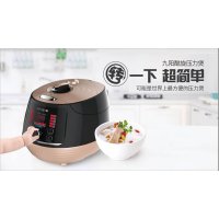 九阳电压力煲Y-50C11