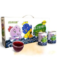 合利源 孩子能喝的蓝莓汁果汁礼盒装248ml *10
