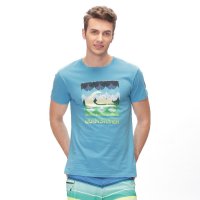 Quiksilver 男士休闲清新印花纯棉短袖潮T恤上衣41-1250-PBL