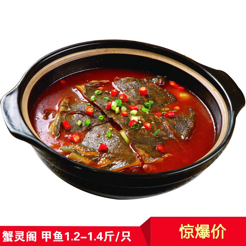 [苏宁易购超市]蟹灵阁 阳澄湖原生态甲鱼600g-700g 鲜活甲鱼 鳖1.2斤-1.4斤