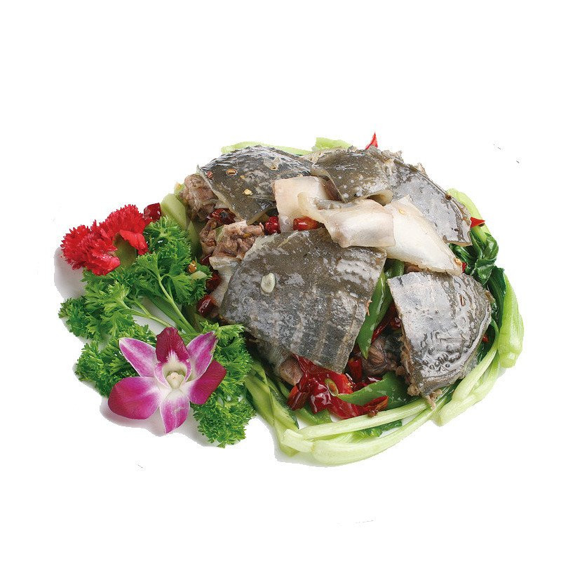 [苏宁易购超市]蟹灵阁 阳澄湖原生态甲鱼600g-700g 鲜活甲鱼 鳖1.2斤-1.4斤