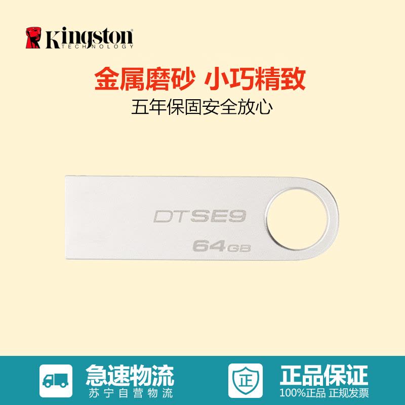 金士顿(Kingston)DTSE9 64GB U盘(银灰)图片