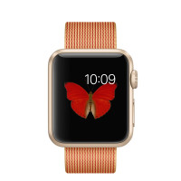 Apple Watch Sport 38毫米（MMF52CH/A）金色铝金属表壳 搭配金配红色精织尼龙表带