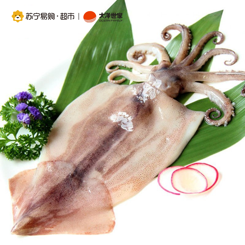 大洋世家 清洁阿根廷鱿鱼(2*480g)共两袋 960g 进口海鲜 冷冻整条鱿鱼
