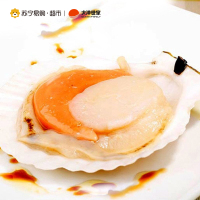 【苏宁易购超市】大洋世家日本半壳扇贝1kg 北海道特产进口半壳 饱满